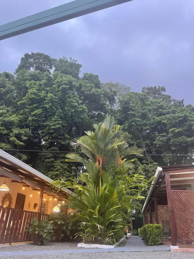 El bosque alto detrás de las habitaciones, con palmas, bajo un cielo nublado.