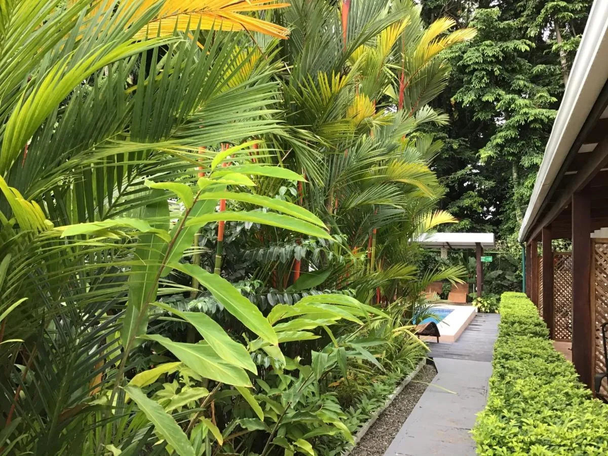 El jardín entre las habitaciones: palmas, heliconias y plantas grandes junto al corredor.